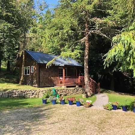 דבלין Willow Lodge מראה חיצוני תמונה