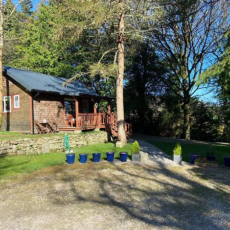 דבלין Willow Lodge מראה חיצוני תמונה