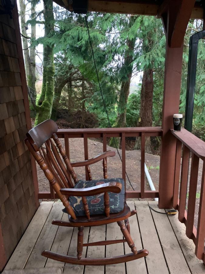 דבלין Willow Lodge מראה חיצוני תמונה