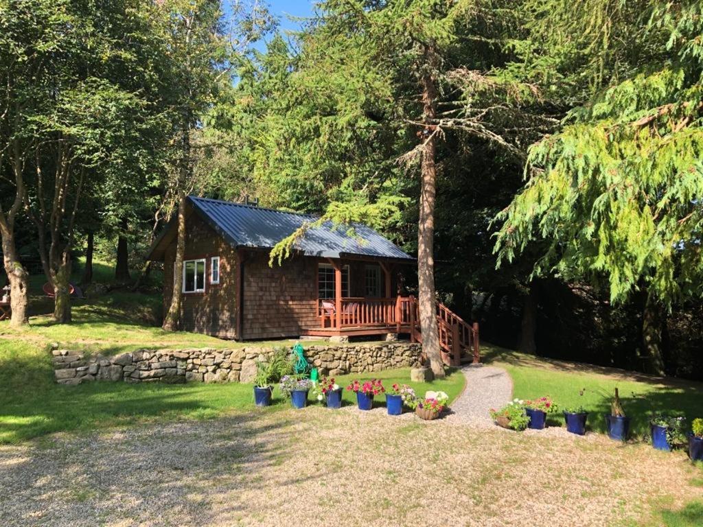 דבלין Willow Lodge מראה חיצוני תמונה