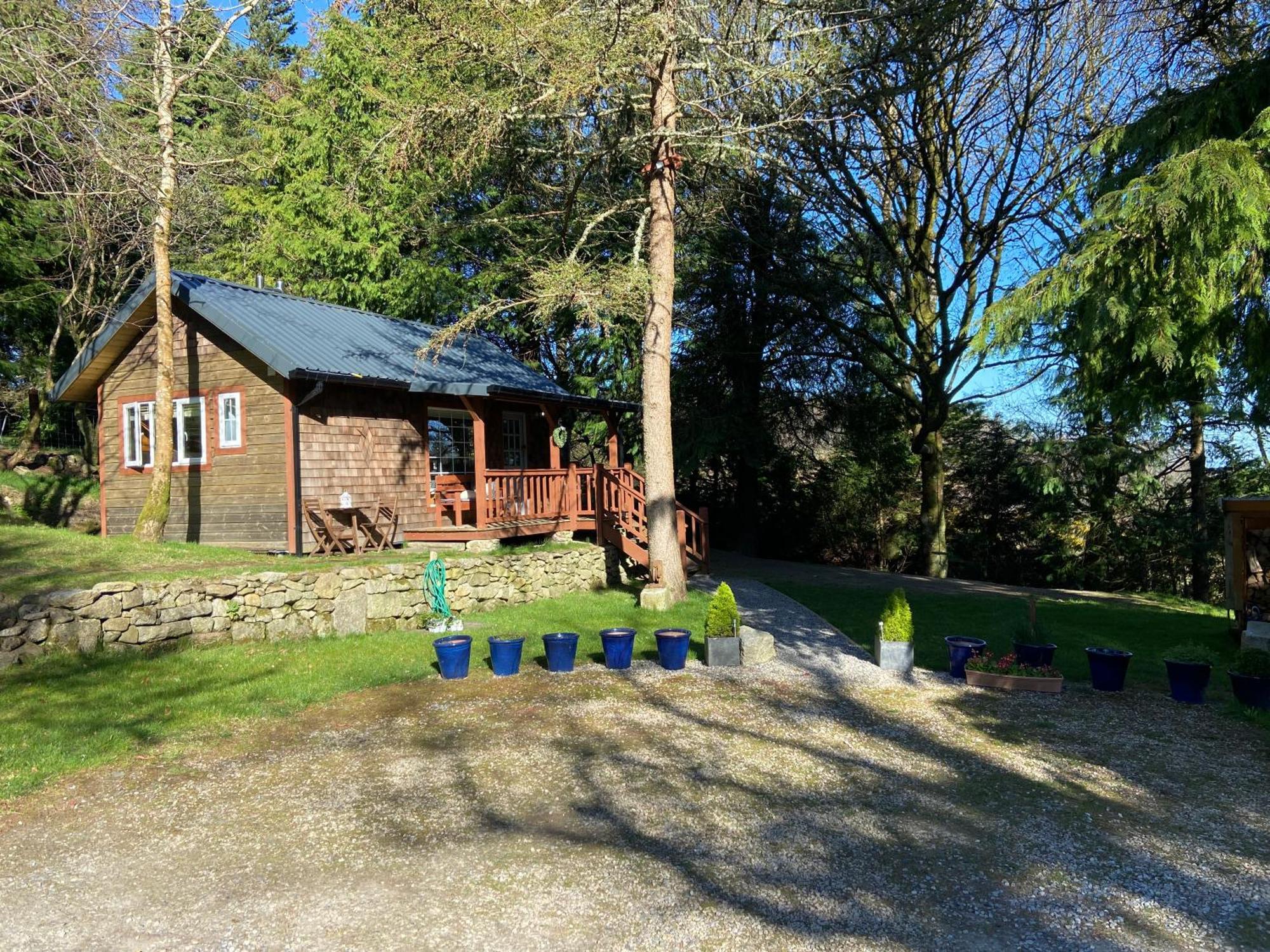 דבלין Willow Lodge מראה חיצוני תמונה